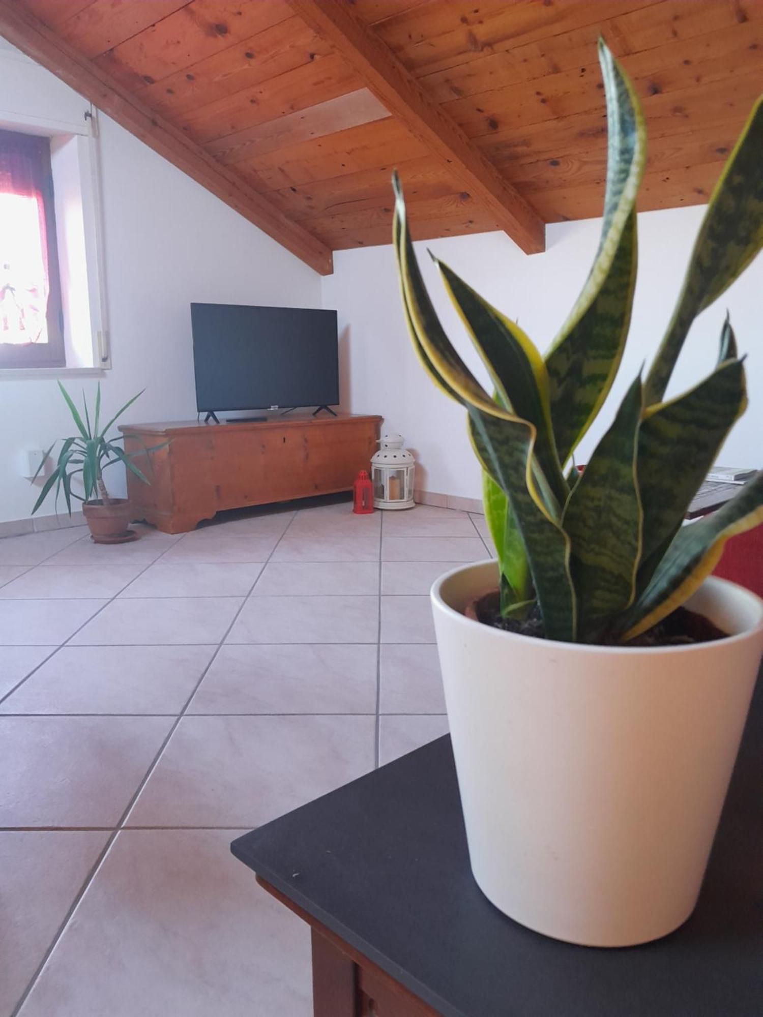 Le Rondini Appartement Corinaldo Buitenkant foto